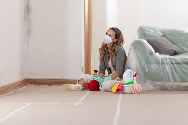 Reliable Black Mold Remediation contractor in Inver Grove Heights, MN by Car Mold Remediation